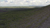 Fruit Trees And Trees On The Way To Trapani