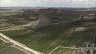 Fruit Trees And Fields On The Way To Trapani