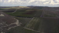 Wine Storage Tanks And Vineyards