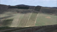 Fruit Trees And Fields On The Way To Trapani