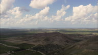 Fruit Trees And Fields On The Way To Trapani
