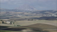Vineyards With Mount Erice In Background
