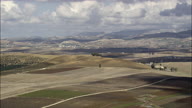 Fruit Trees And Fields On The Way To Trapani