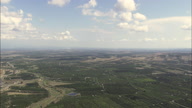 Passing Citrus Fields