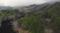 Recent Lava Flows From Mount Etna