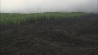 Old Lava Flow From Mt Etna