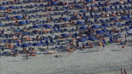 Tropea