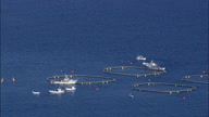 Fish Farm