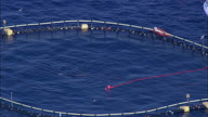 Fish Farm