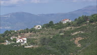 Pisciotta