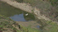 Bacino Alento With Bird In Flight