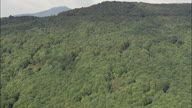 Reveal Of Lazio Valley Over Wood Covered Hills