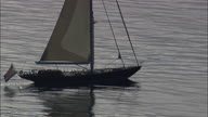 Dutch Yacht On Sea Toward Elba Island With Great Sun Reflections