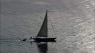 Dutch Yacht On Sea Toward Elba Island With Great Sun Reflections
