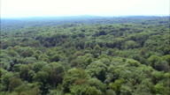 Over Epping Forest