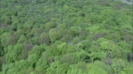 Over Epping Forest