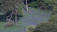 Mount Edgecombe