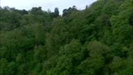 Cotehele House