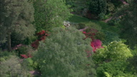 Knightshayes Court And Garden