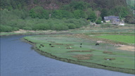 C Barmouth And Estuary