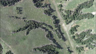 Flight Looking Down On Pattern Of Trees