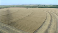 Combine Harvester In Action