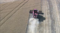 Combine Harvester In Action