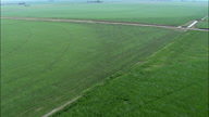 Flight Across Fields