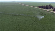 Watering Maize Crops