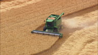 Combine Harvesters In Action