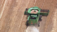 Combine Harvesters In Action