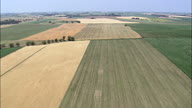 Flight Low Over Wheat Field