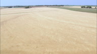Flight Low Over Wheat Field