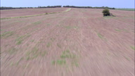 HD01125A_117, Nebraska, United States
