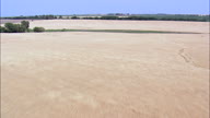 Flight Low Over Maize And Wheat Fields