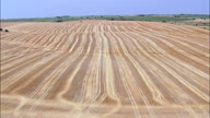 Flight Low Over Cut Wheat And Maize Fields