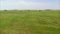 Flight Low Over Cut Wheat And Maize Fields