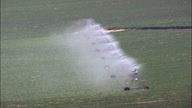 Watering Maize