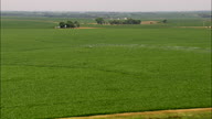 Farms Amongst A Sea Of Maize
