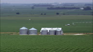 Farms Amongst A Sea Of Maize