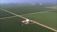 Acres And Acres Of Maize