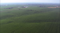 Acres And Acres Of Maize