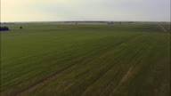 Acres And Acres Of Maize