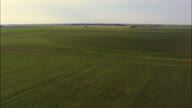Acres And Acres Of Maize