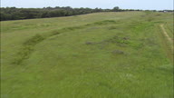 Flight Through Park From South To North