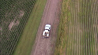 Pickups On Dirt Road