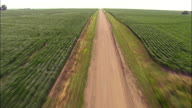 Flight Fast And Low Along Dirt Road