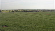 Passing Farmland