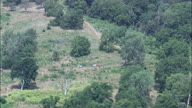 Pony Trekking In Indian Cacve State Park