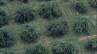 Arbor Lodge State Historical Park Orchards